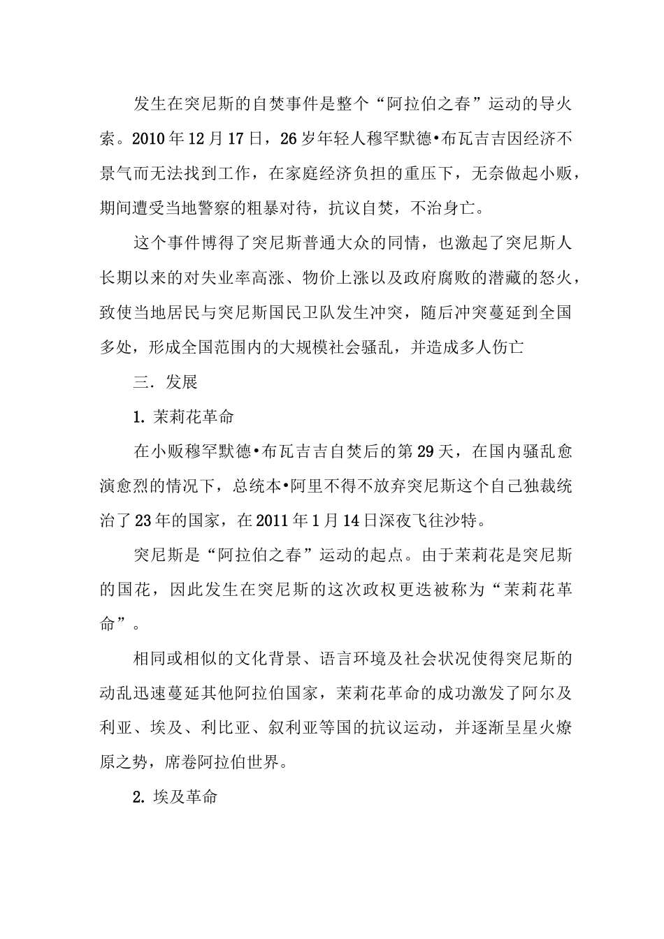 阿拉伯之春讲解_第3页