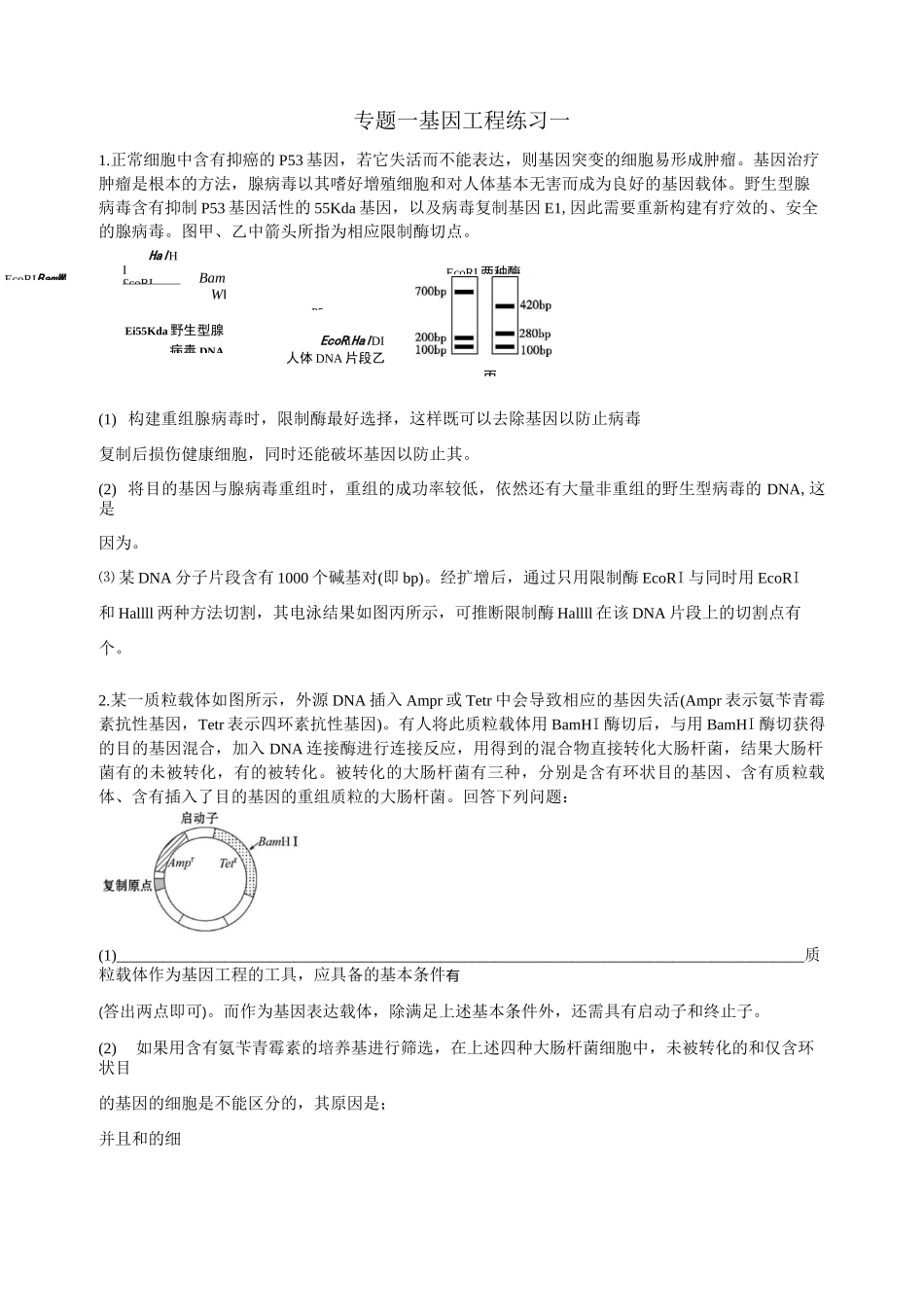 专题一基因工程_第1页