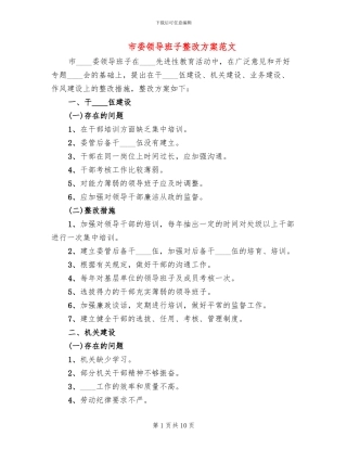 市委领导班子整改方案范文