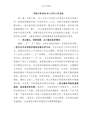 市统计局2024年上半年工作总结
