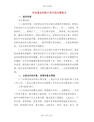 市自查自纠的工作计划方案范文