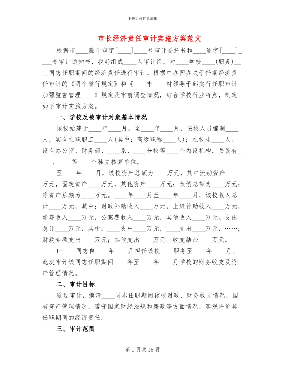 市长经济责任审计实施方案范文_第1页