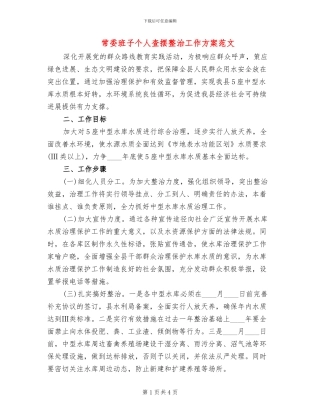 常委班子个人查摆整治工作方案范文