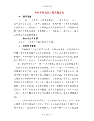 年轻干部成长工程实施方案