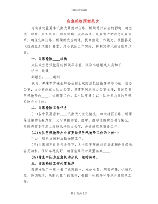 应急抢险预案范文