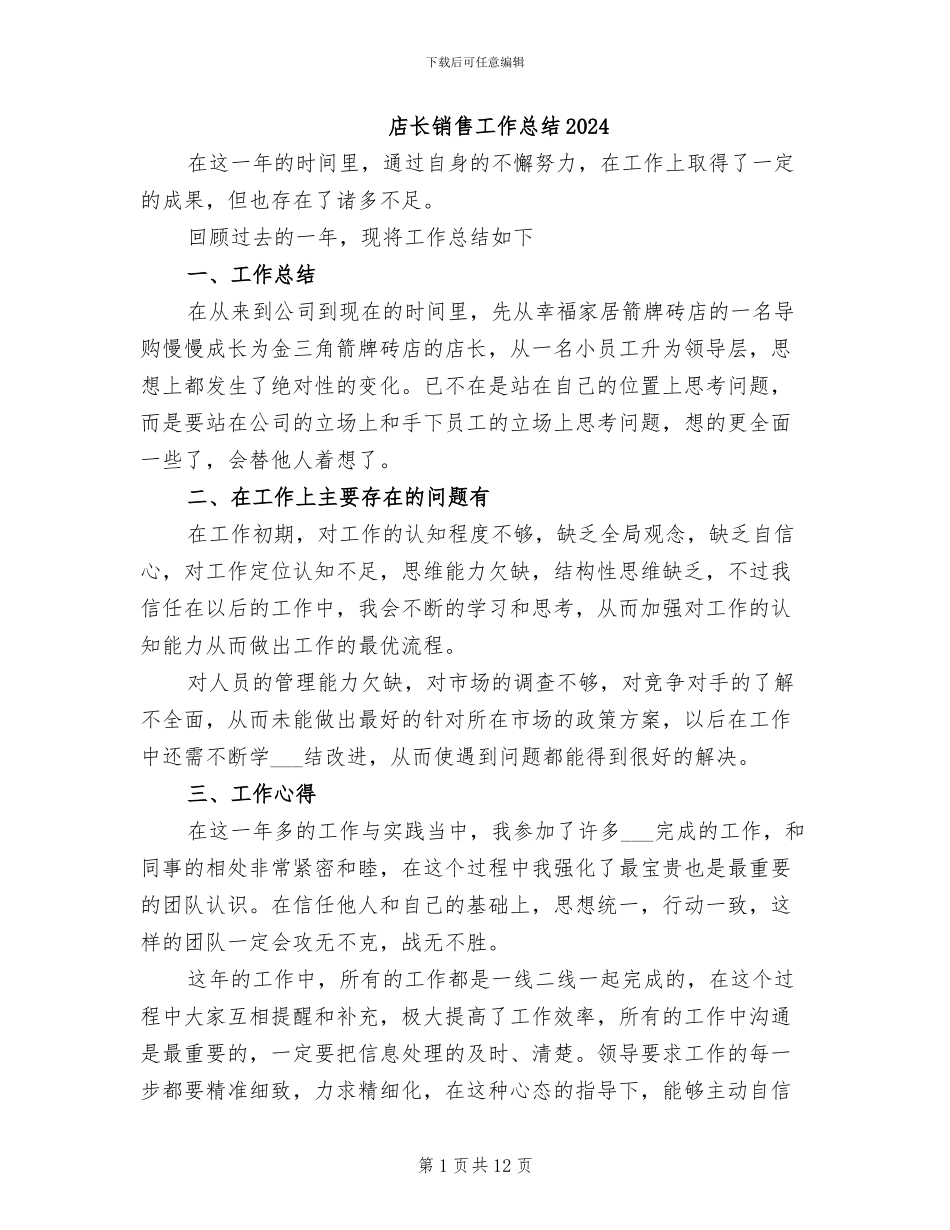 店长销售工作总结2024_第1页
