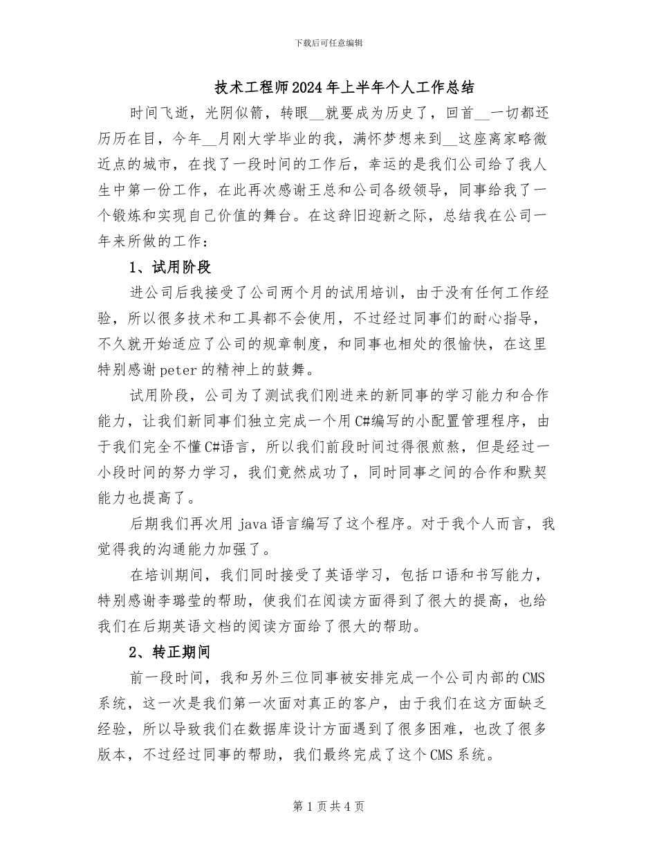技术工程师2024年上半年个人工作总结_第1页