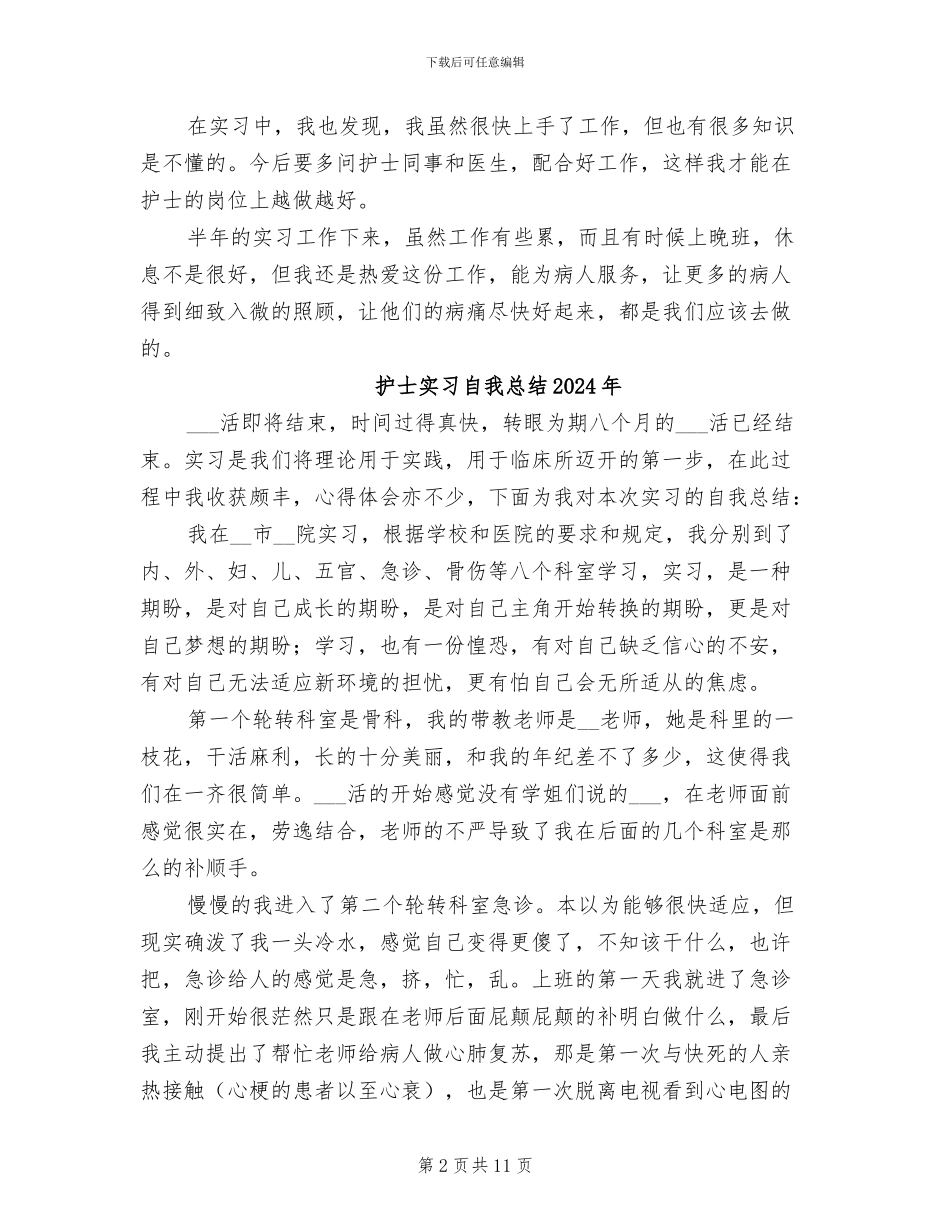 护士实习期工作总结2024年_第2页