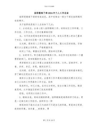 挂职锻炼干部2024年个人工作总结