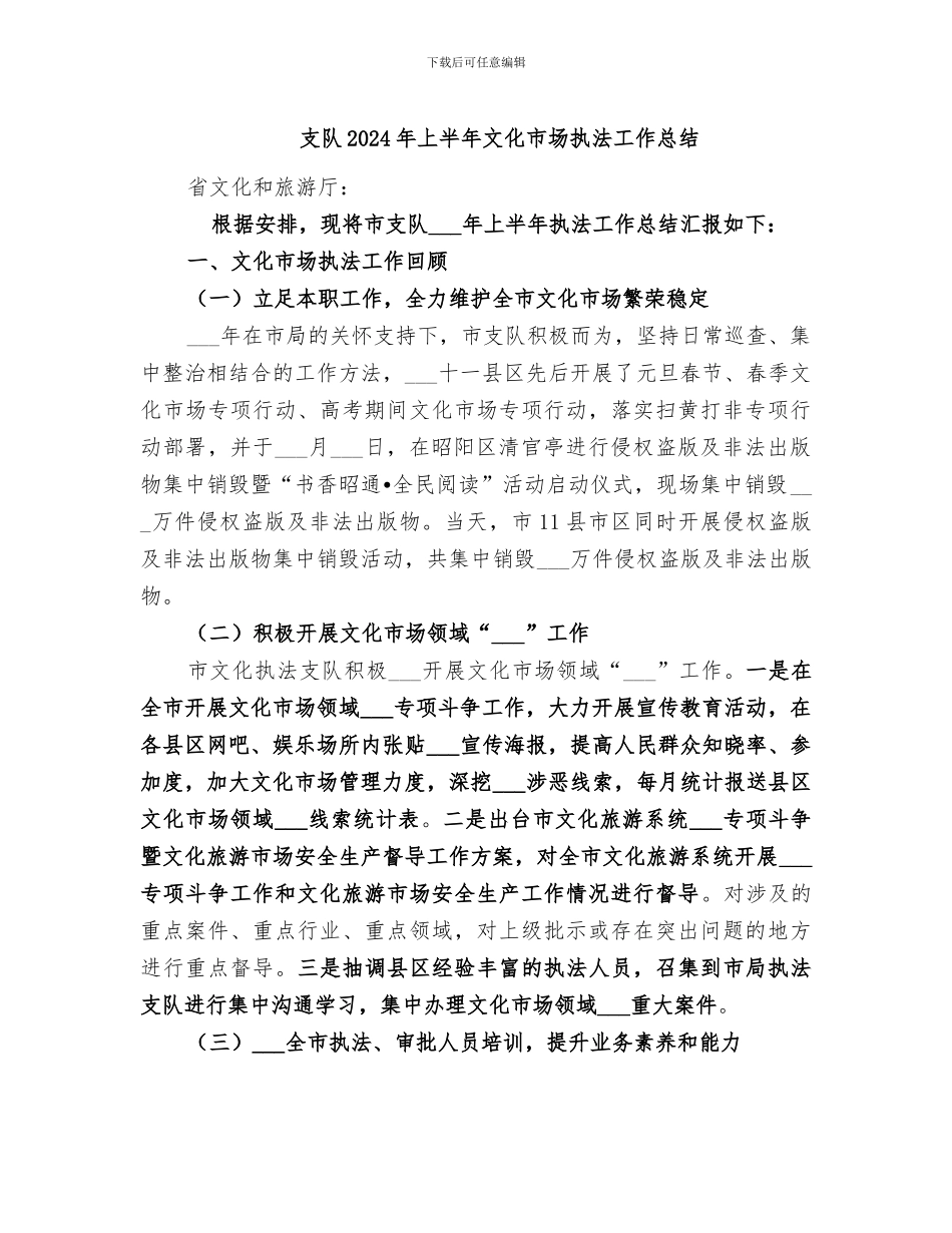 支队2024年上半年文化市场执法工作总结_第1页