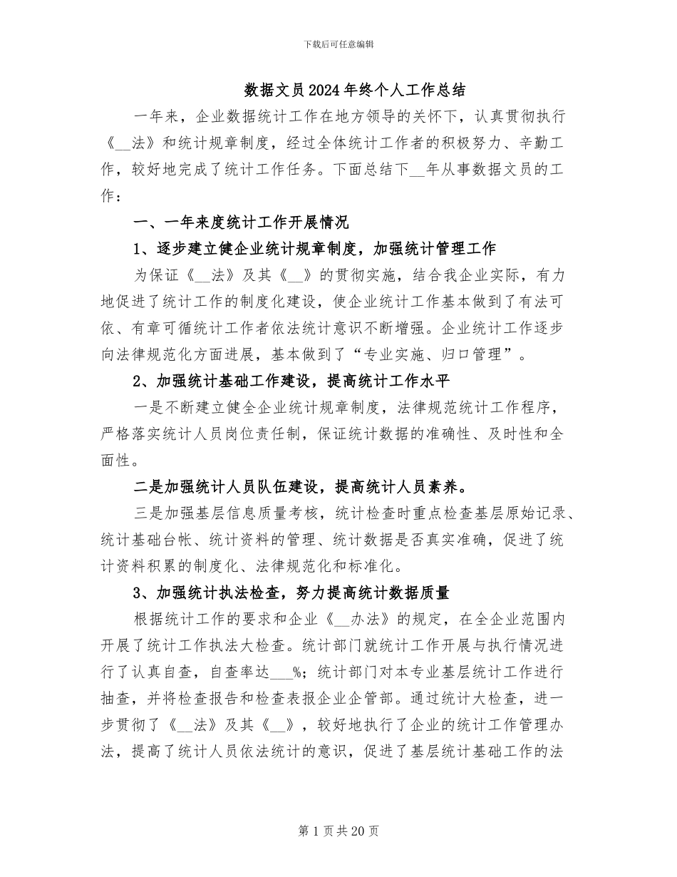 数据文员2024年终个人工作总结_第1页
