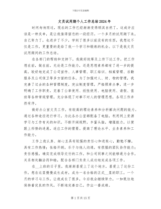 文员试用期个人工作总结2024年