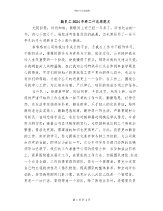 新员工2024年终工作总结范文
