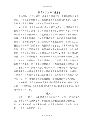 新员工2024年工作总结