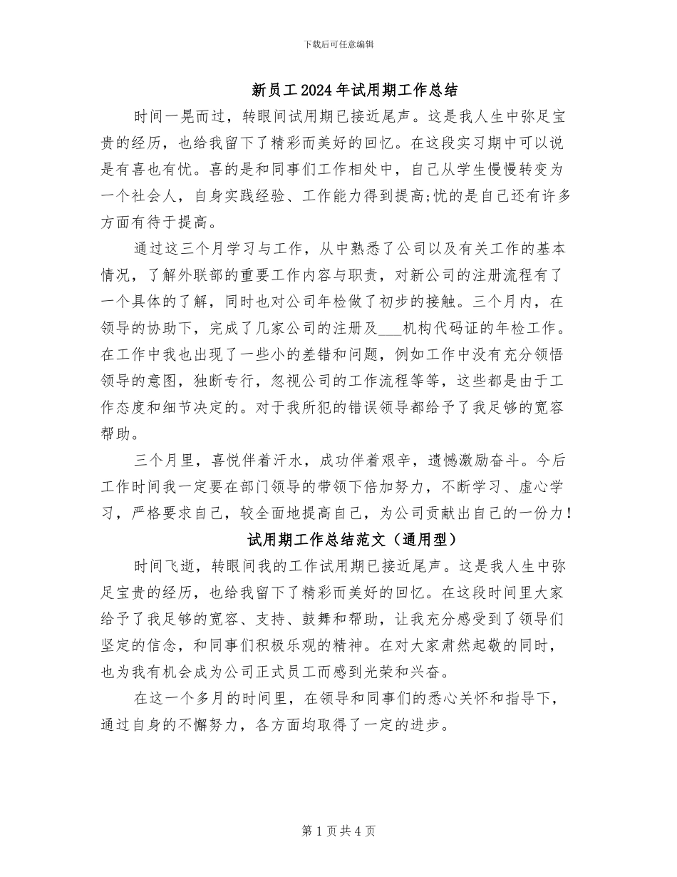 新员工2024年试用期工作总结_第1页