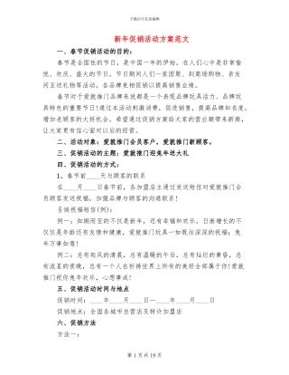 新年促销活动方案范文