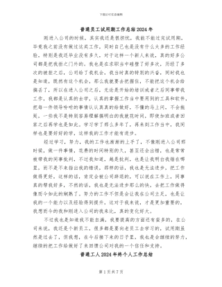 普通员工试用期工作总结2024年