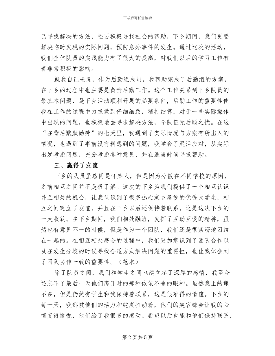 暑期三下乡2024年个人工作总结_第2页