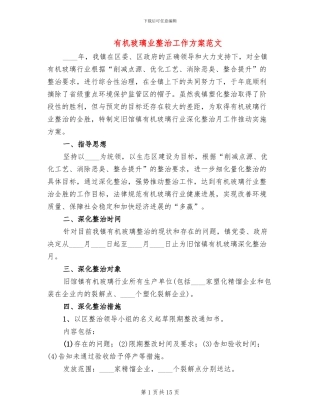 有机玻璃业整治工作方案范文