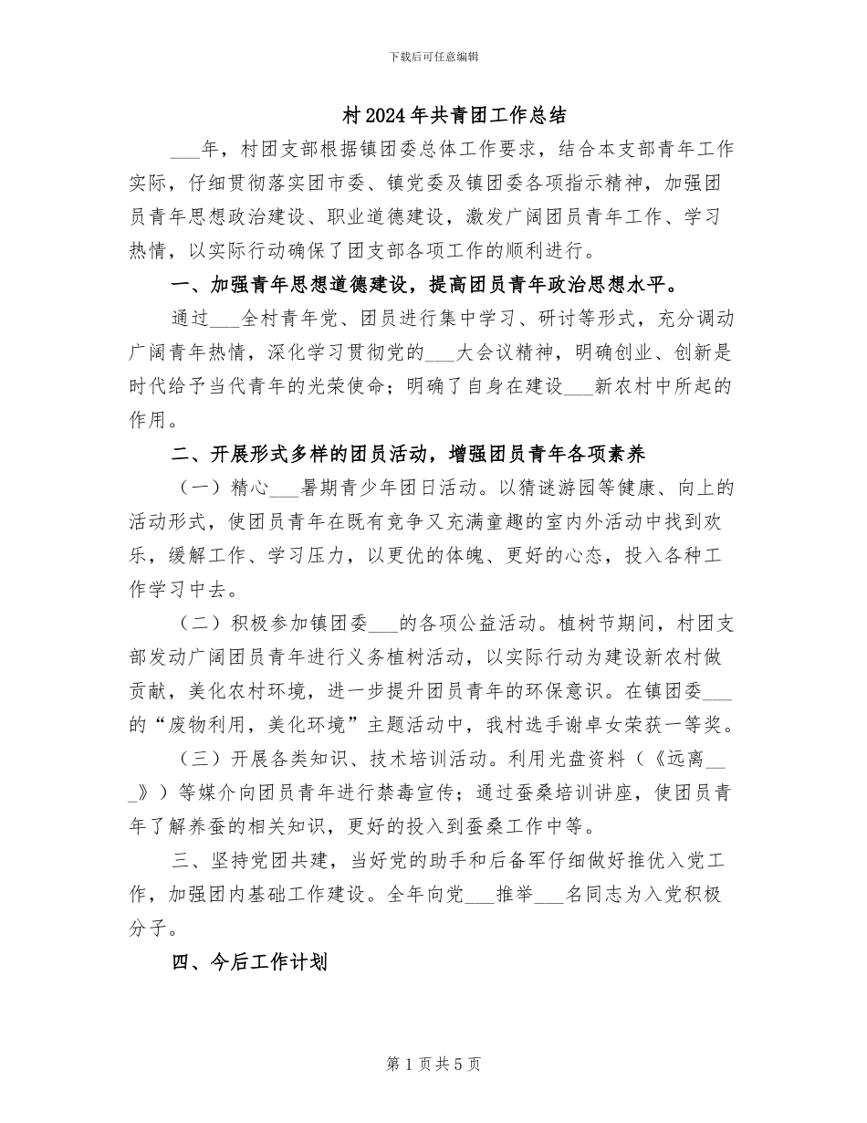 村2024年共青团工作总结_第1页