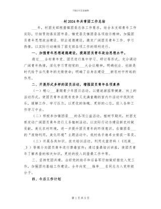 村2024年共青团工作总结