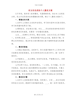 村主任先进性个人整改方案