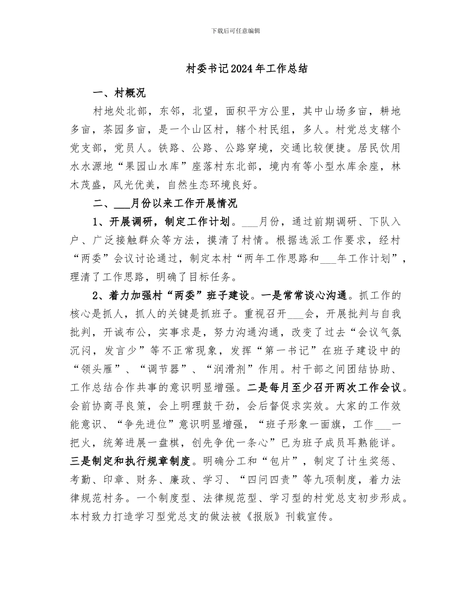 村委书记2024年工作总结_第1页