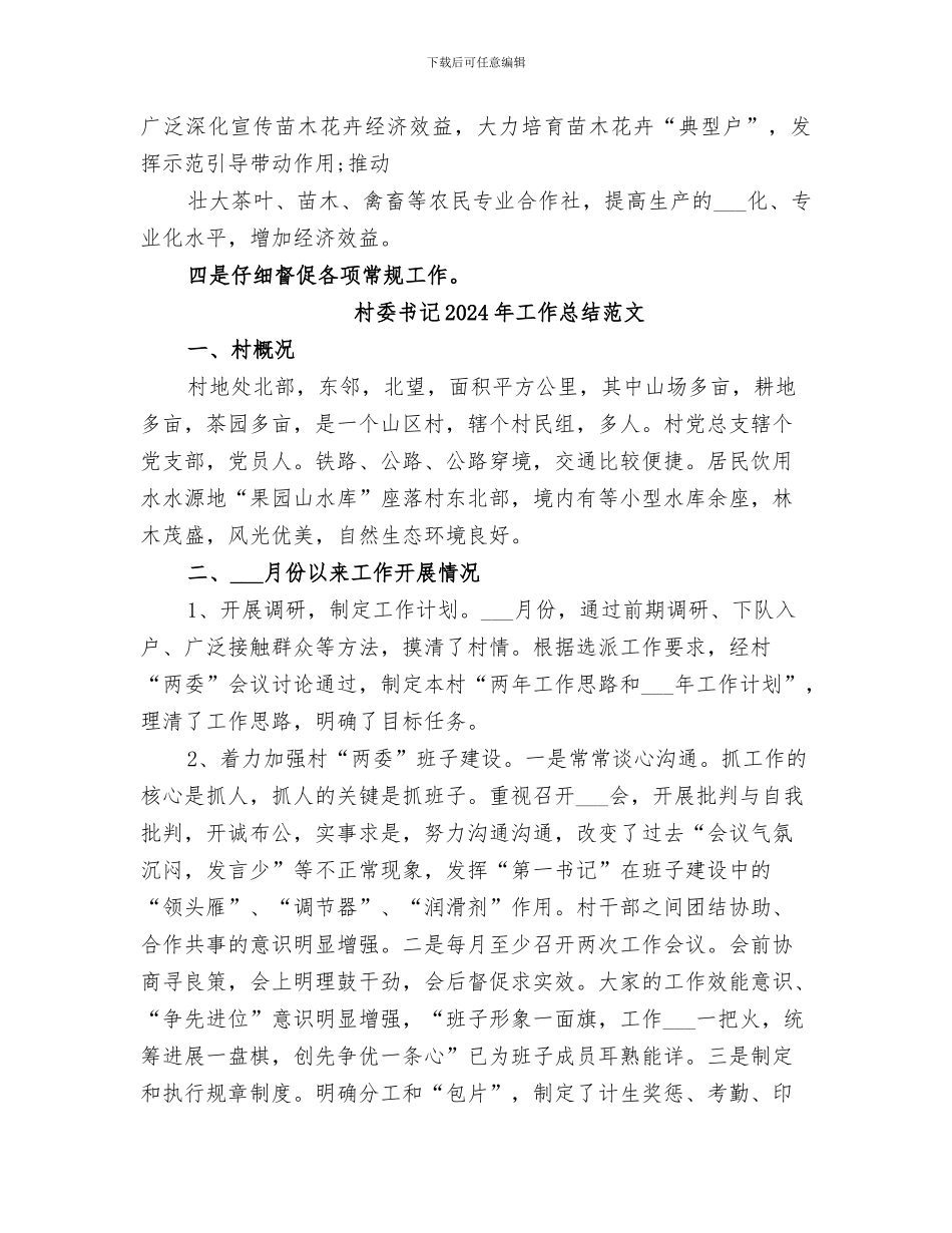 村委书记2024年工作总结_第3页