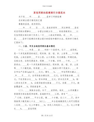 某信用联社组建商行方案范本