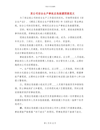 某公司安全生产事故应急救援预案范文