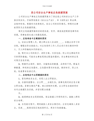 某公司安全生产事故应急救援预案