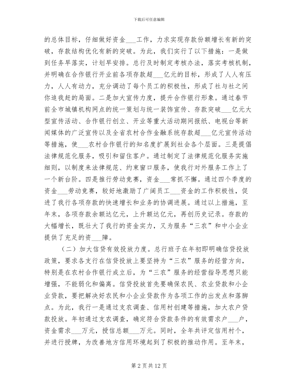 某农村合作银行2024年工作总结_第2页