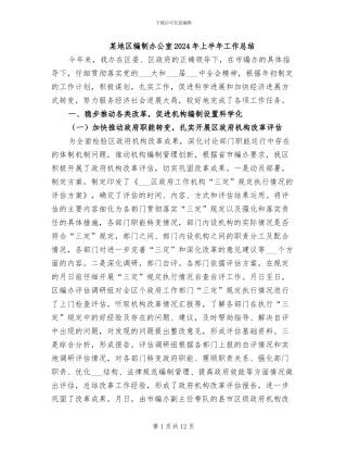 某地区编制办公室2024年上半年工作总结