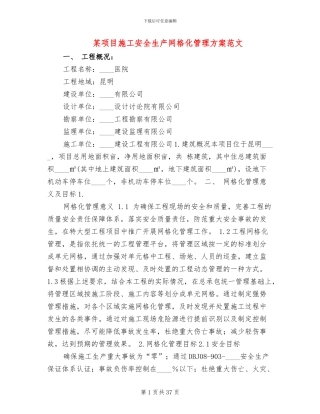 某项目施工安全生产网格化管理方案范文