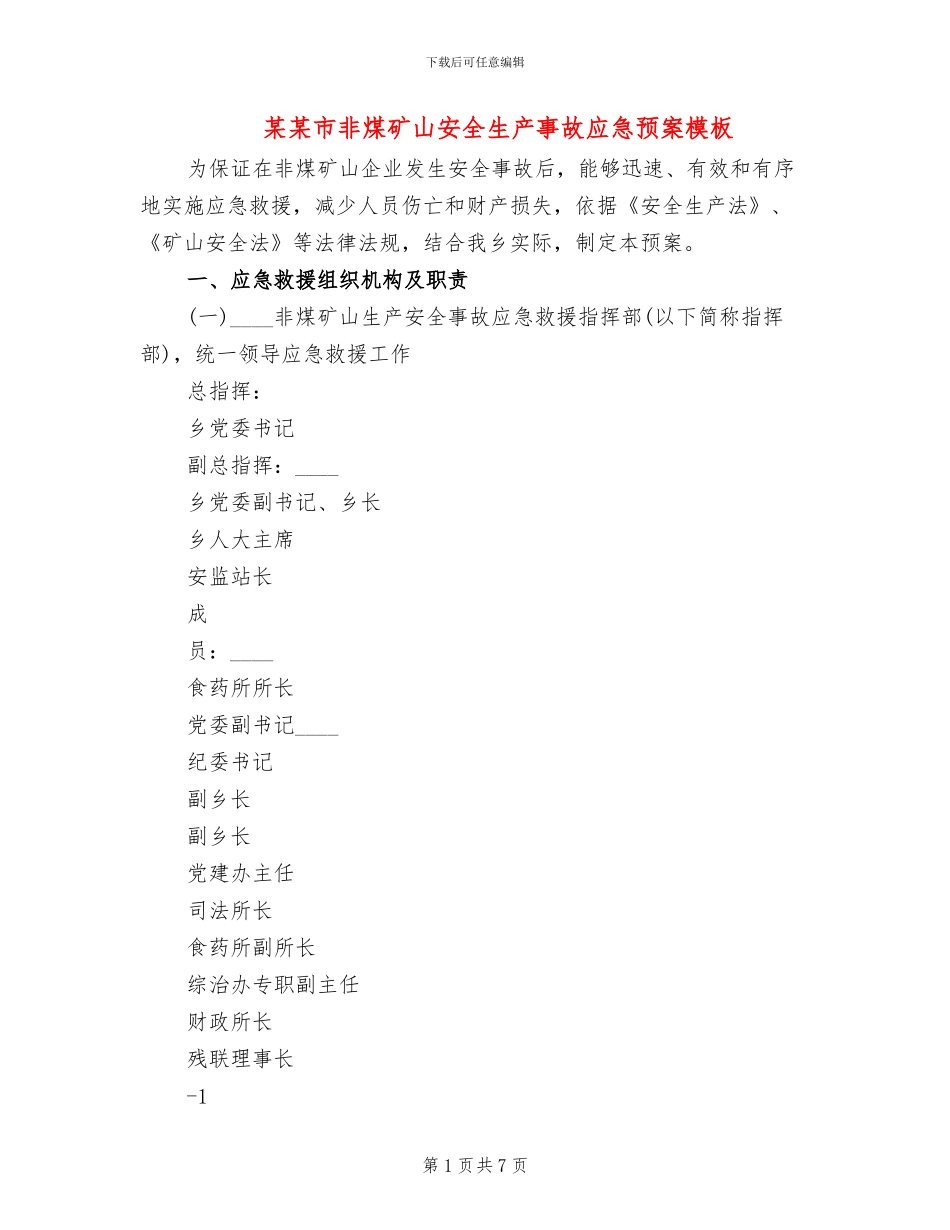 某某市非煤矿山安全生产事故应急预案模板_第1页
