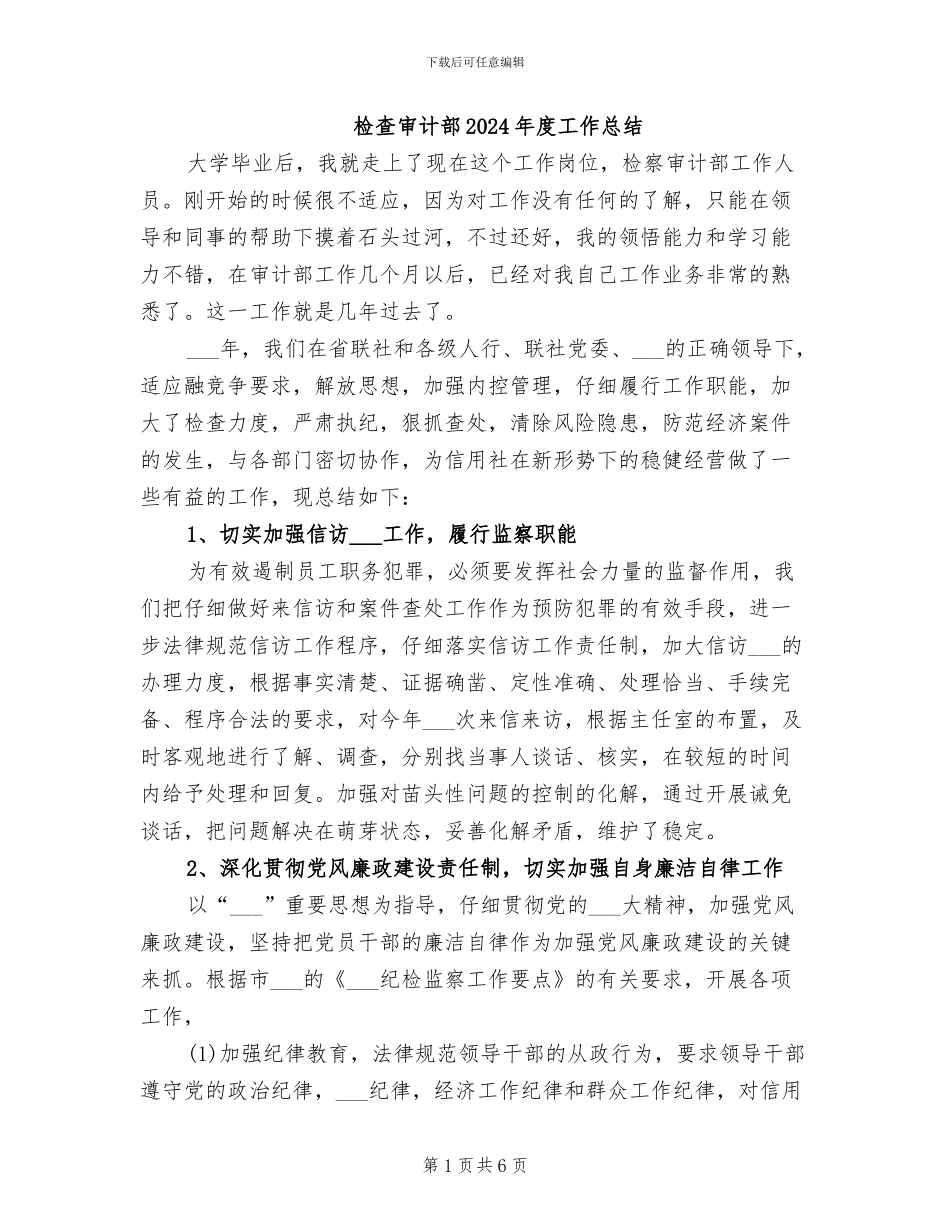 检查审计部2024年度工作总结_第1页