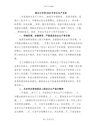 森业公安局2024年安全生产总结