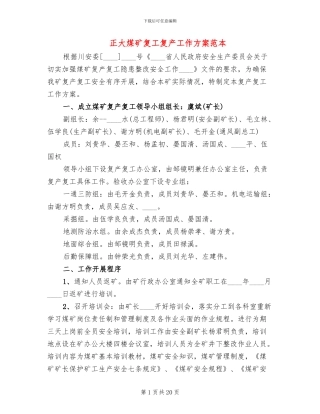 正大煤矿复工复产工作方案范本