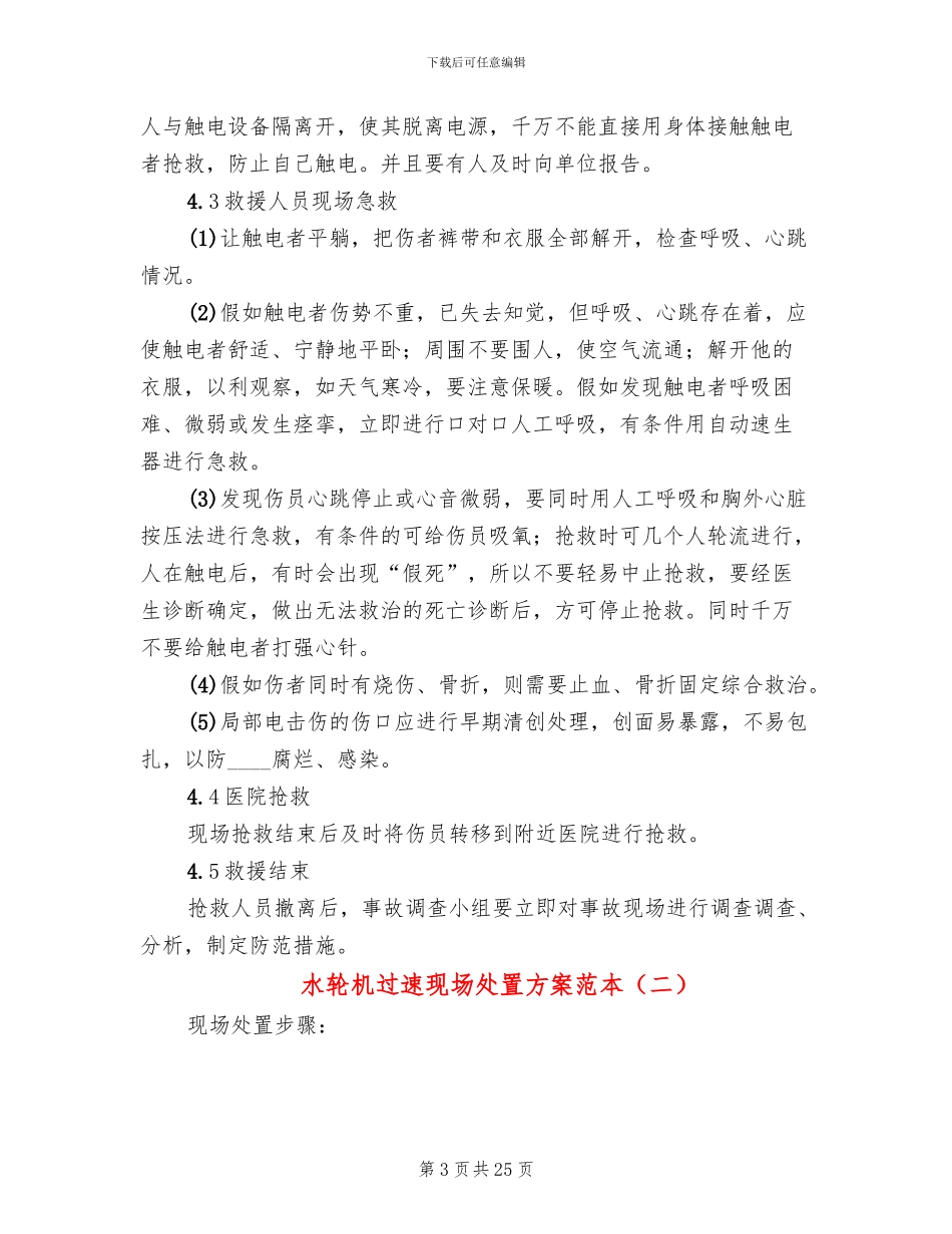 水轮机过速现场处置方案范本_第3页