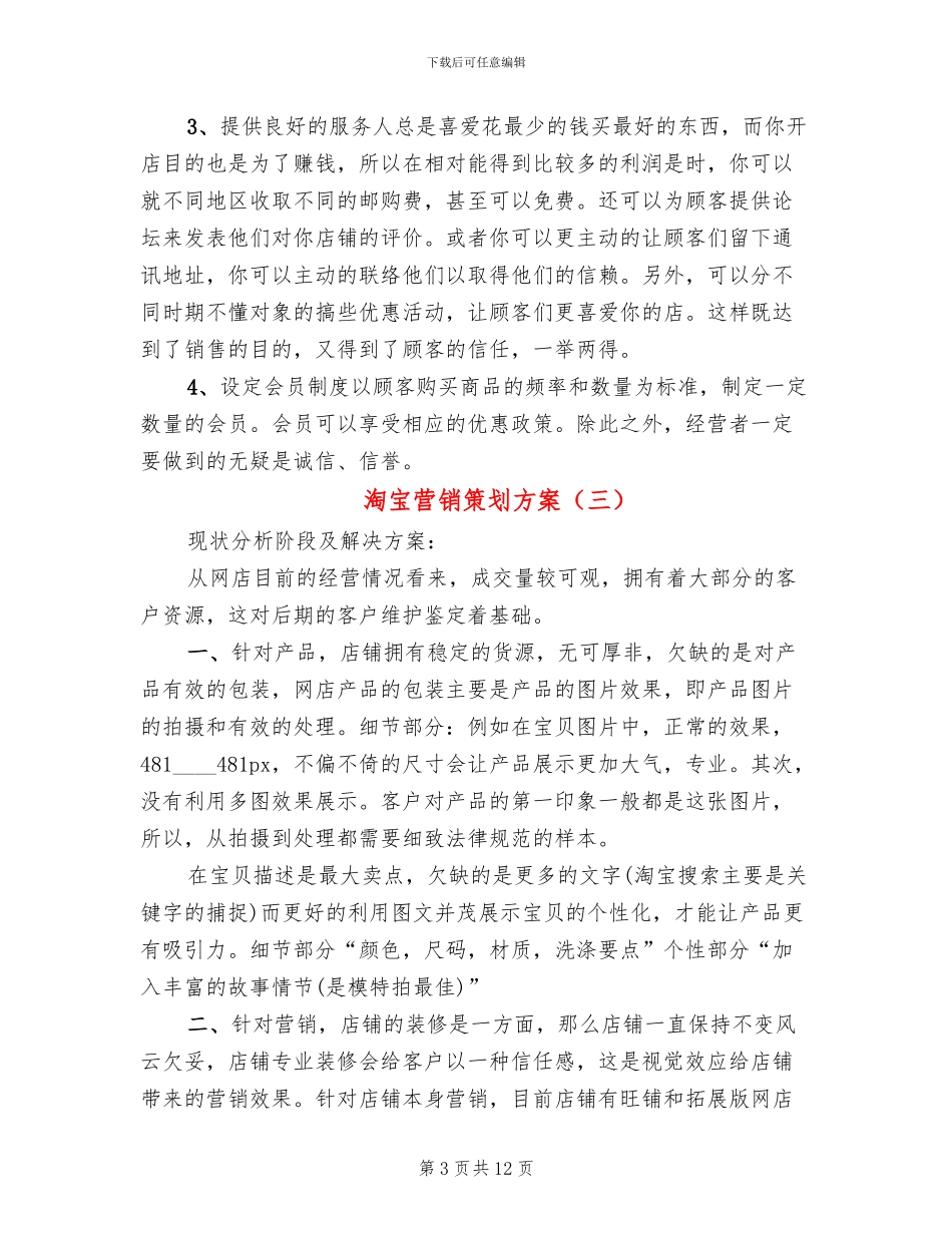 淘宝营销策划方案_第3页