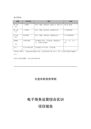 淘宝电商综合运营项目报告