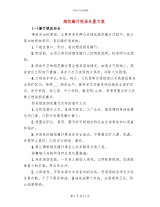 烟花爆竹现场处置方案