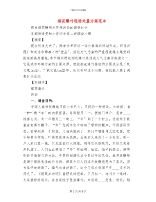 烟花爆竹现场处置方案范本(2篇)