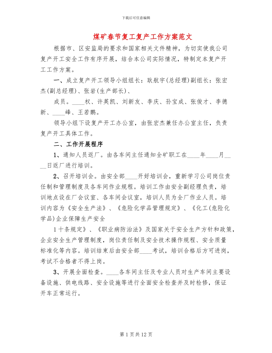 煤矿春节复工复产工作方案范文_第1页