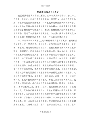 特派员2024年个人总结