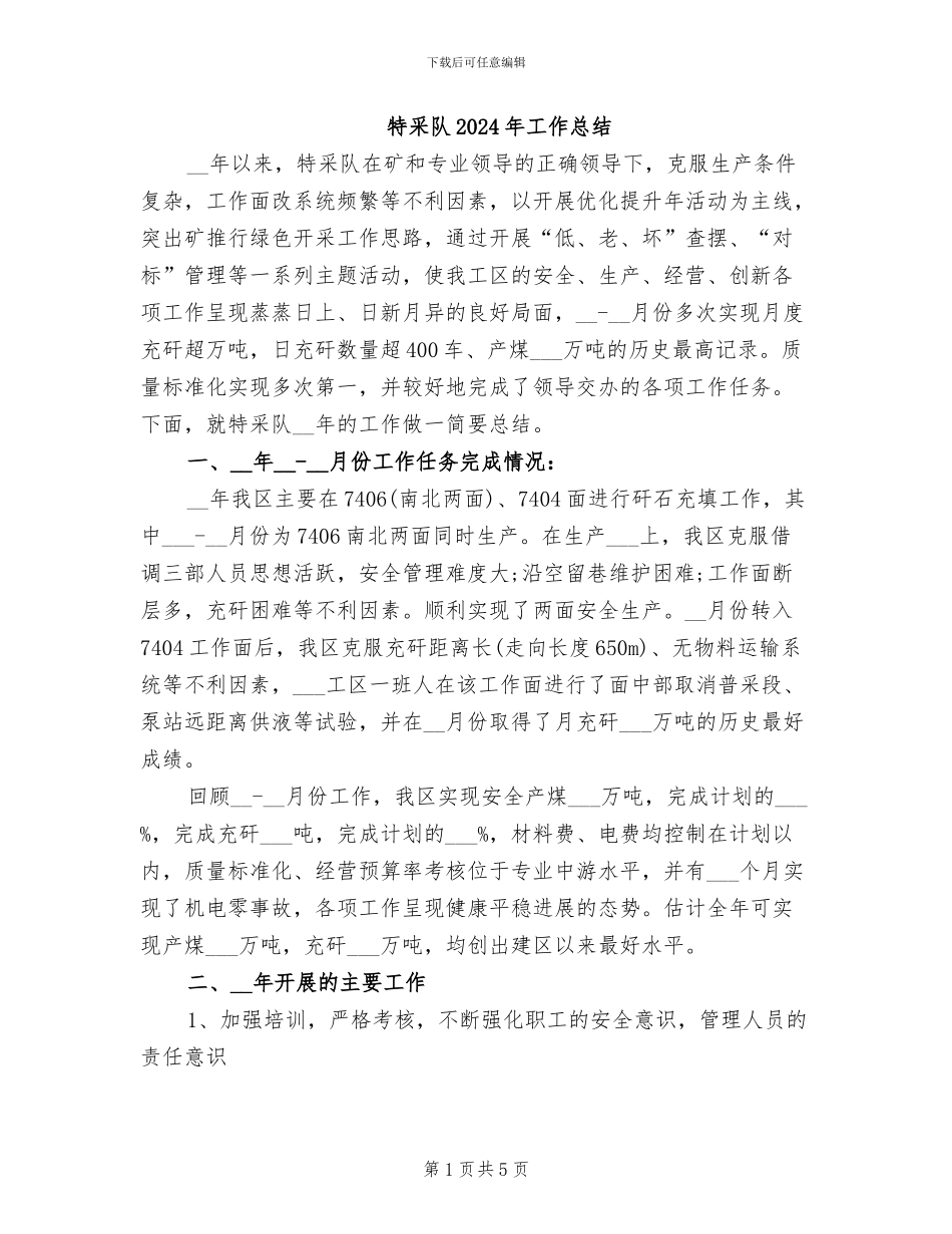 特采队2024年工作总结_第1页