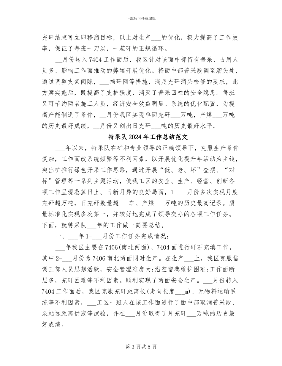 特采队2024年工作总结_第3页