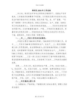 特采队2024年工作总结