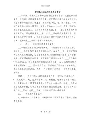 特采队2024年工作总结范文