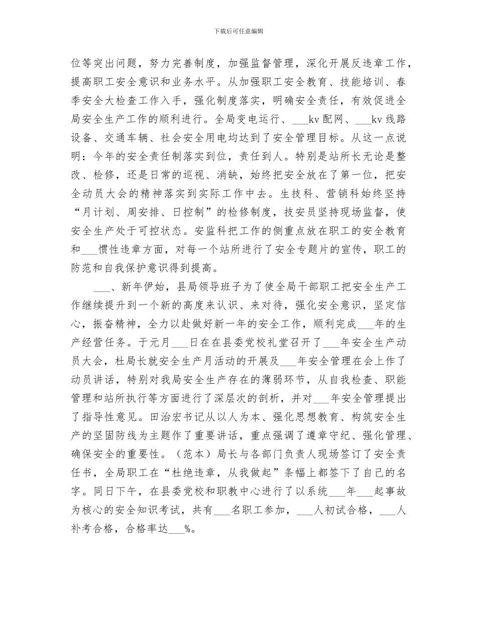 电力局2024上半年工作总结_第2页